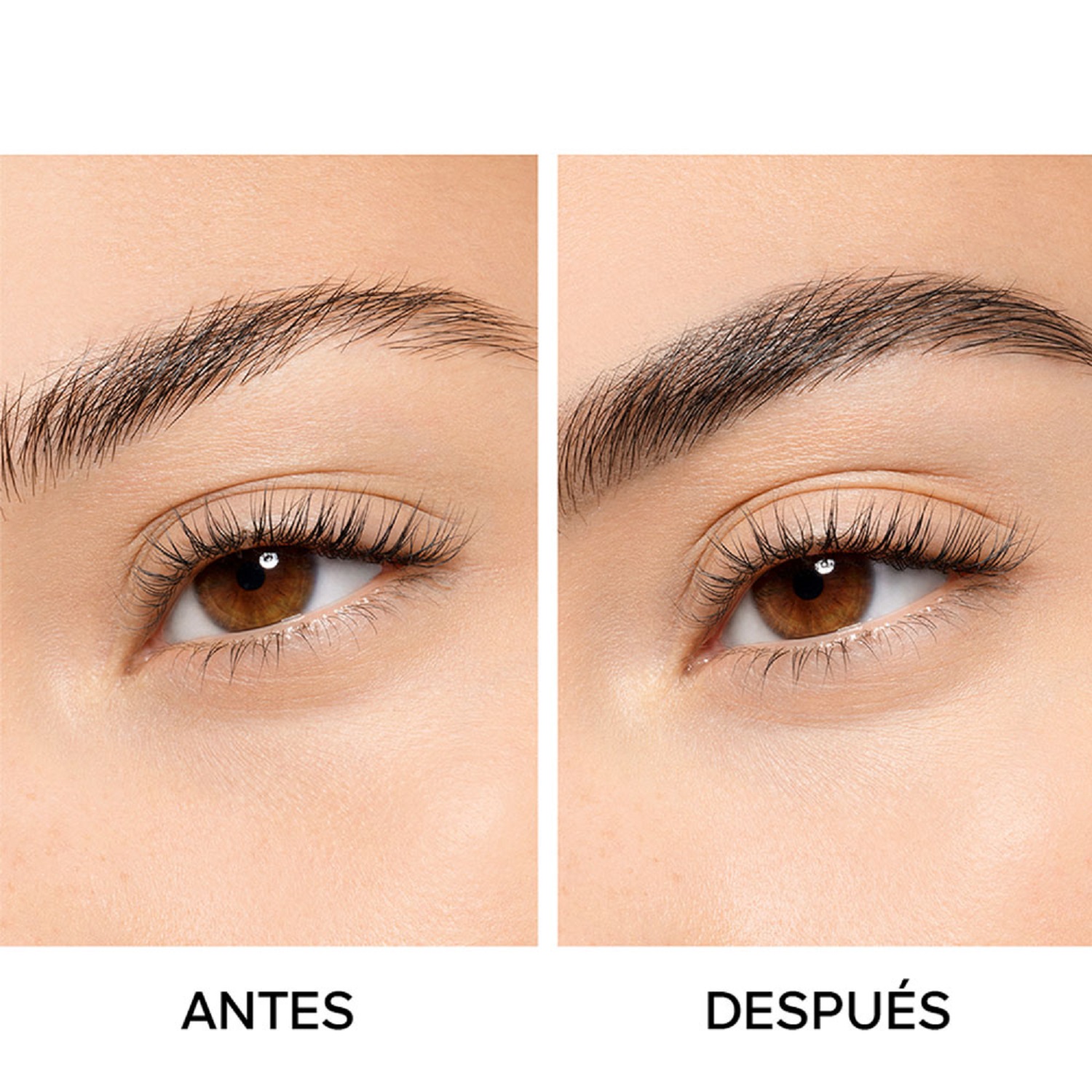 BEE BEAUTY SECRET BROW G (LÁPIZ PARA CEJAS ALTA PRECISIÓN Y LARGA DURACIÓN)